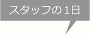 スタッフの1日